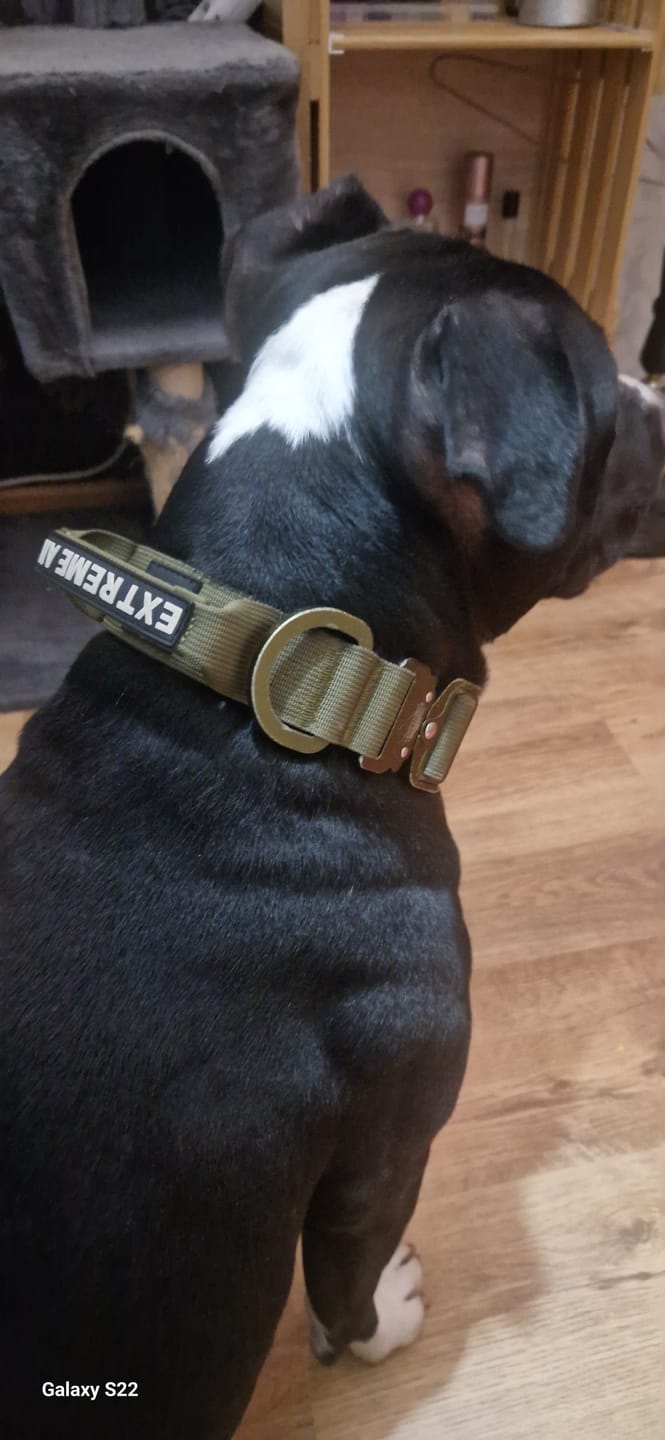 Customer photo review of Extreme Air Set Army Green – Lekki i wytrzymały zestaw dla psów