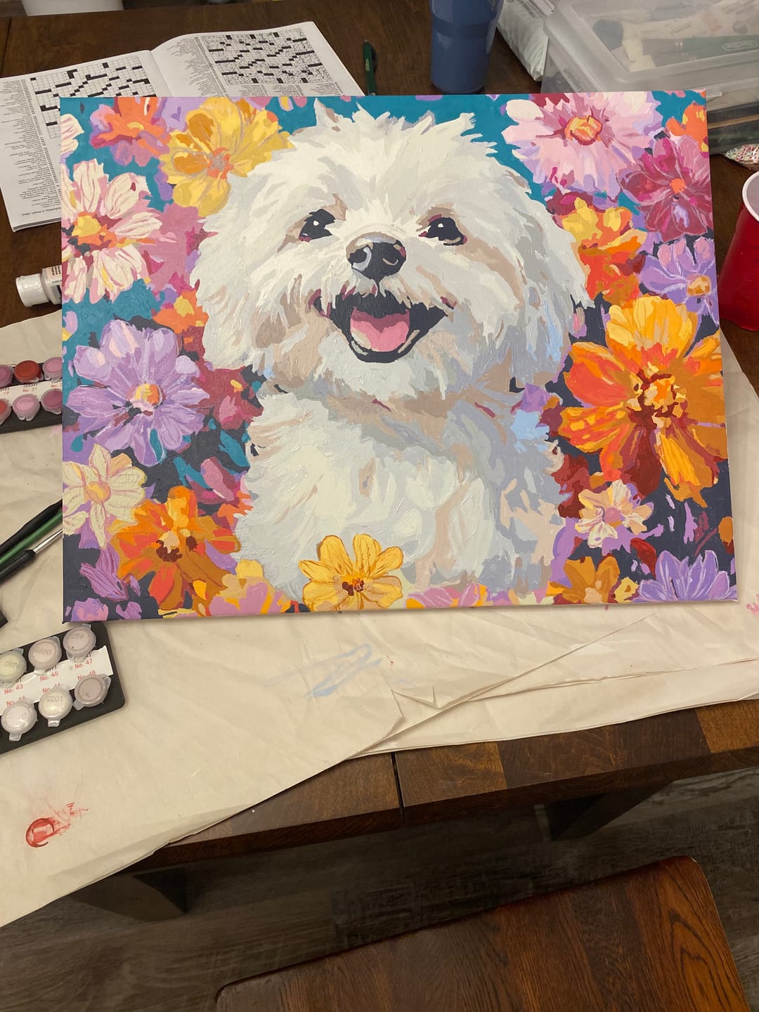 Customer photo review of Bichon Frise