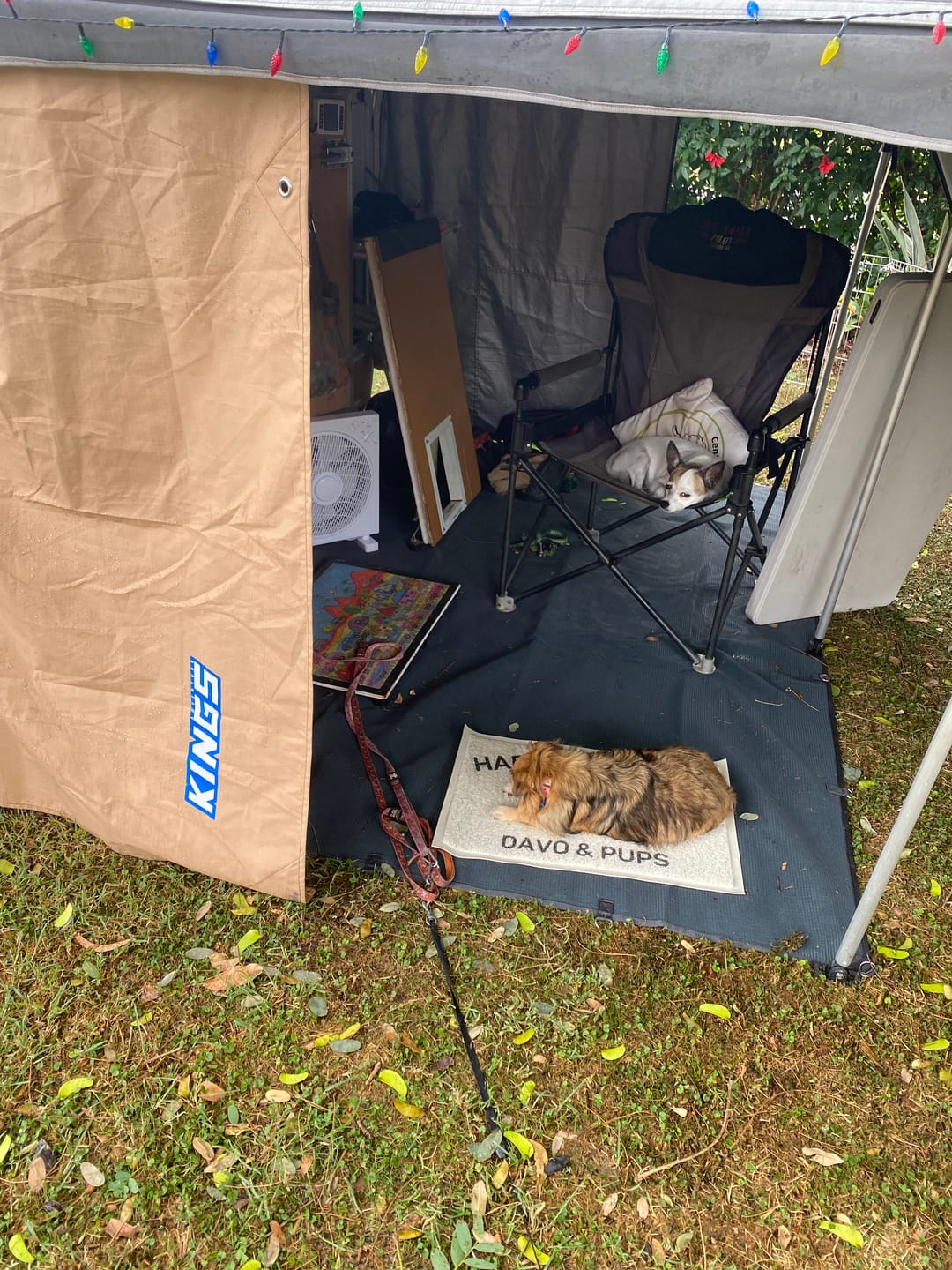 Customer photo review of CGear Multimat