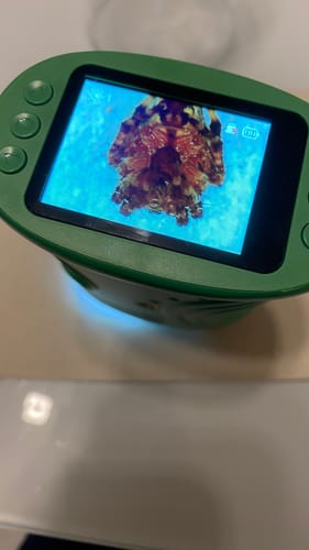 Ein Kunde benutzt das grüne Abenteuer-Mikroskop, dessen Display eine stark vergrößerte Spinne zeigt.