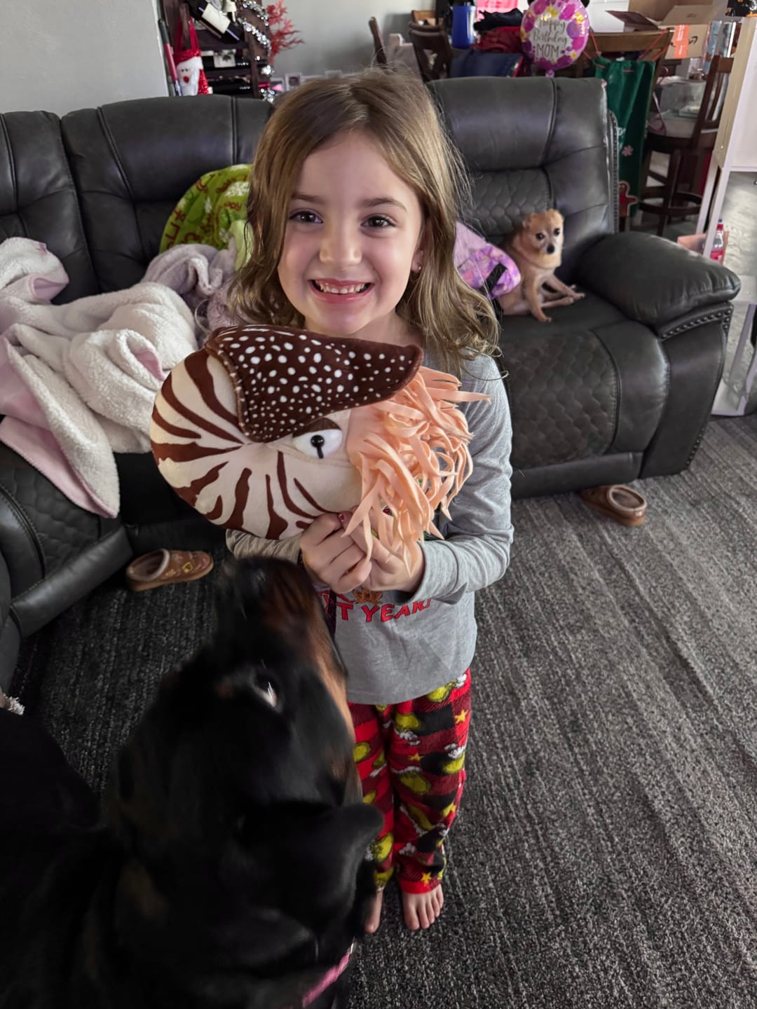 Customer photo review of Nautilus Soft Stuffed Plush Toy