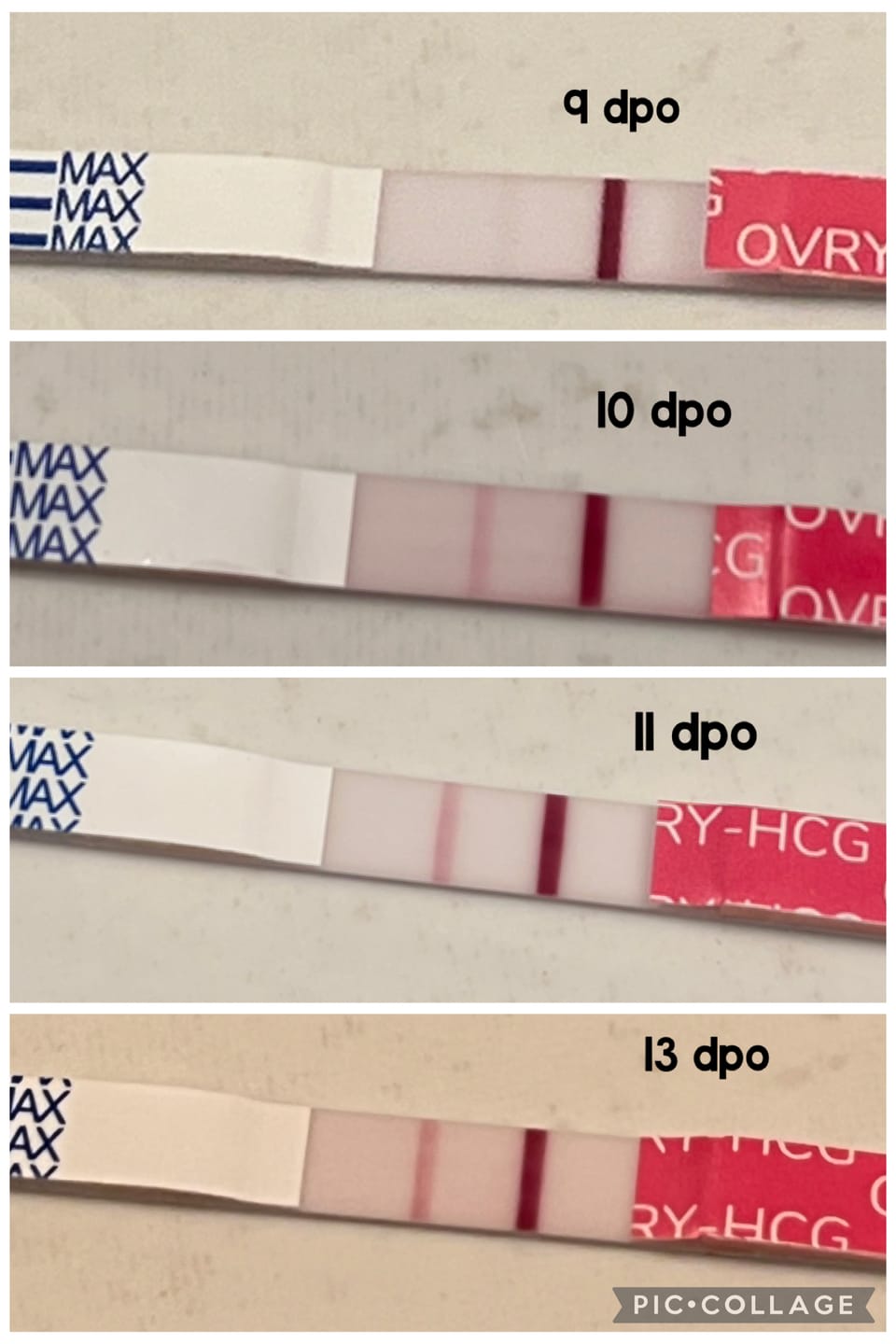 Customer photo review of Pregnancy Test Strips (Ultra-Sensitive)