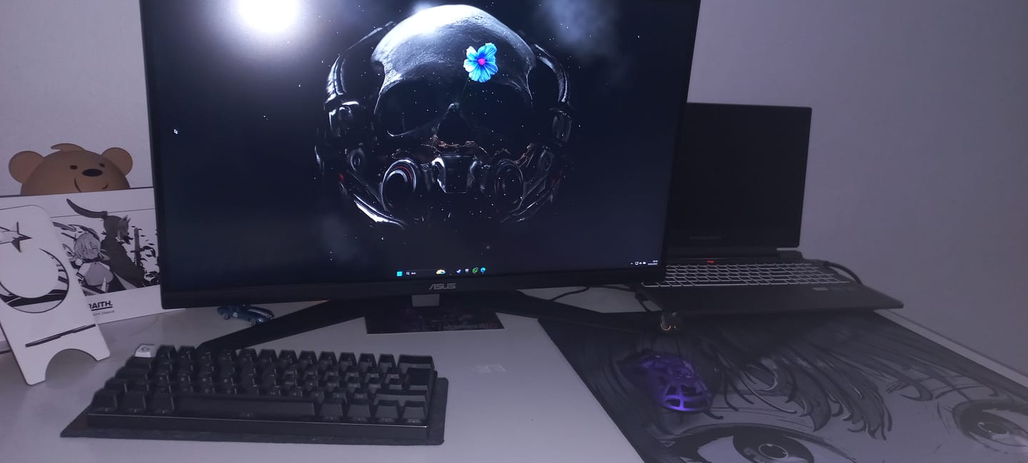 Customer photo review of WLmouse Beast X Mini için Hoverpad V3 Mouse Skate