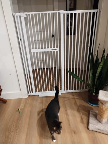 Customer photo review of FairyBaby 55"/61" Extra Tall Cat Gate with Narrow Bar Spacing