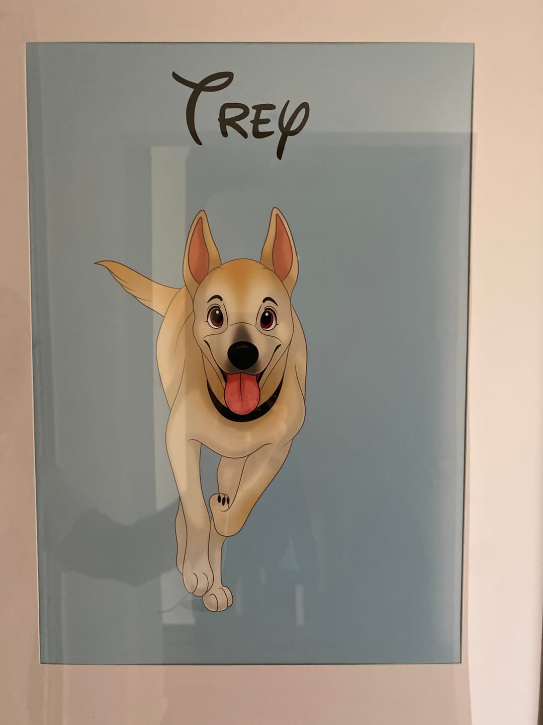 Customer photo review of Disneyfy Pet Cartoon Hand Drawn Portrait