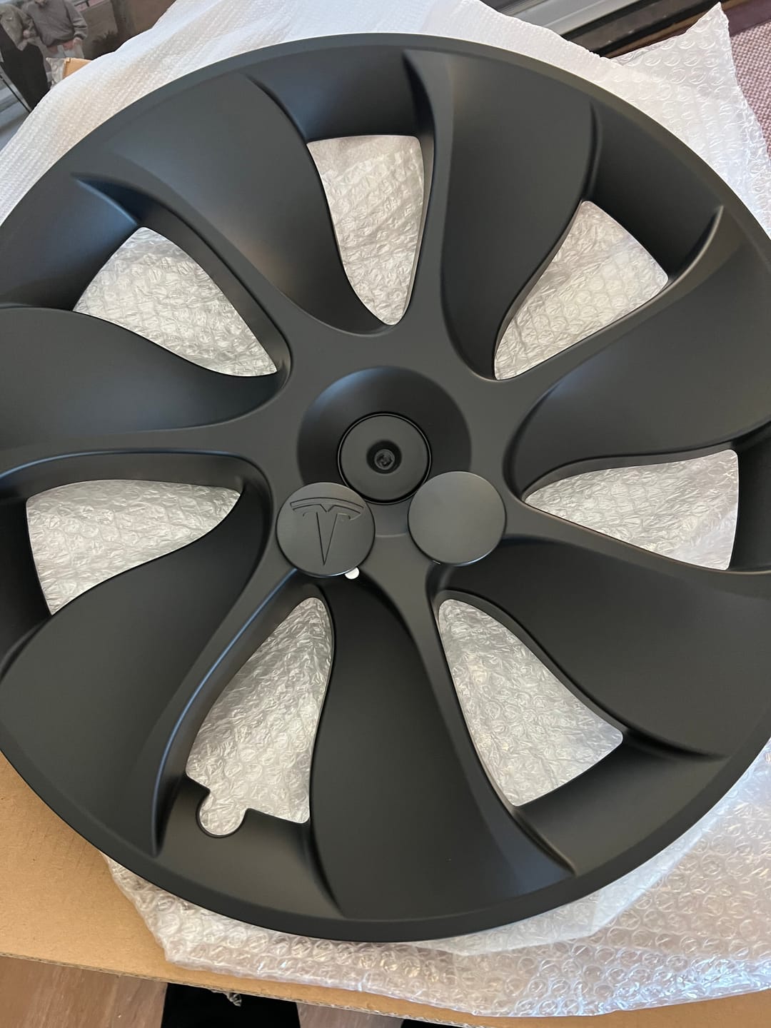 Customer photo review of TESPLUS 19'' Induction Style Wheel Cover for Model Y
