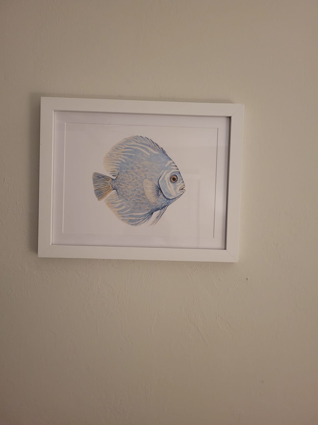 Customer photo review of Light Blue Tropical Fish Print