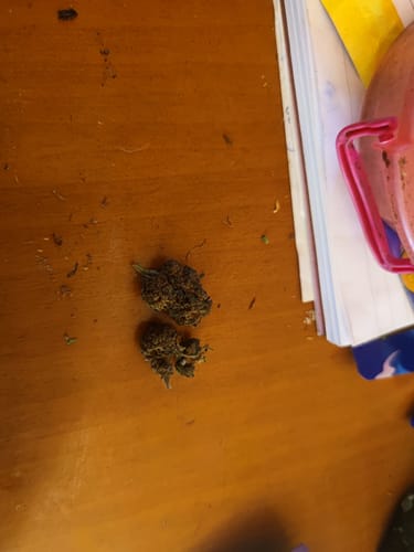 Customer photo review of Hi Bros®-  Ⓐmethyst