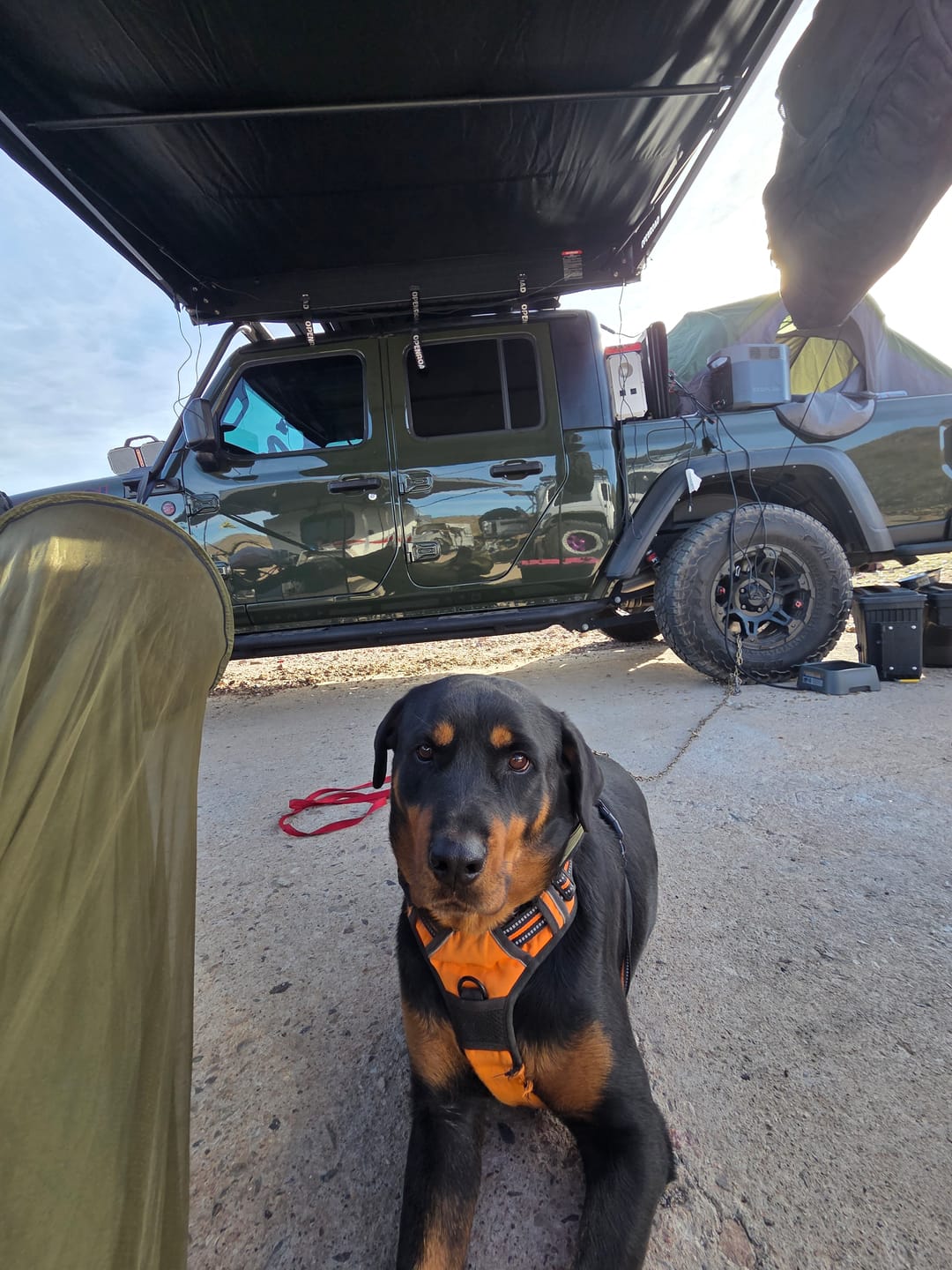Customer photo review of OPENROAD 90-Degree Quick-open Awning