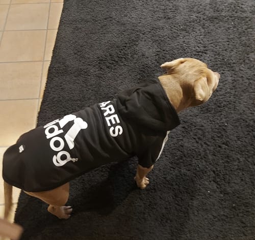 Customer photo review of Felpa "Adidog" Nera Personalizzabile con nome
