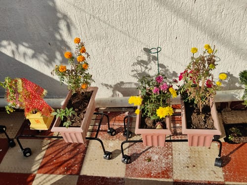Customer photo review of United Crafts Mega Pot Stands-High Quality Metal Stand for Home