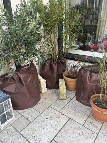 Customer photo review of Thermo Topfschutz XL für Pflanzenüberwinterung H 70 cm x Ø 65 cm