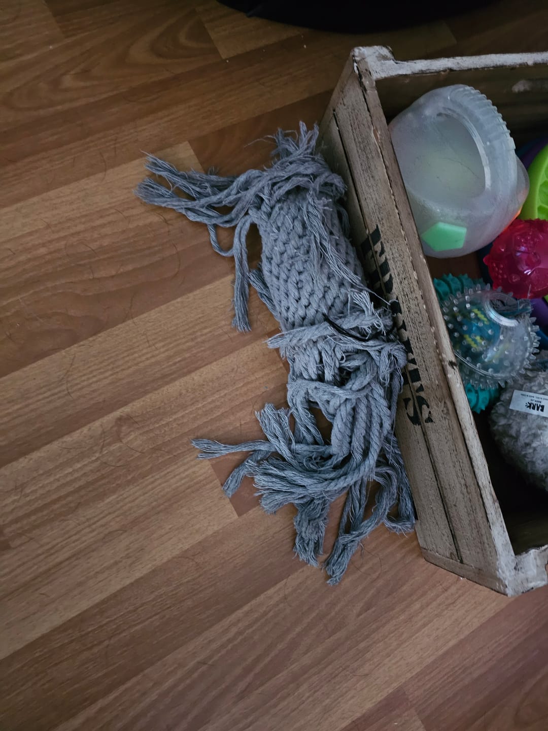 Customer photo review of Elton Elefant Hundespielzeug – robust & zahnpflegend