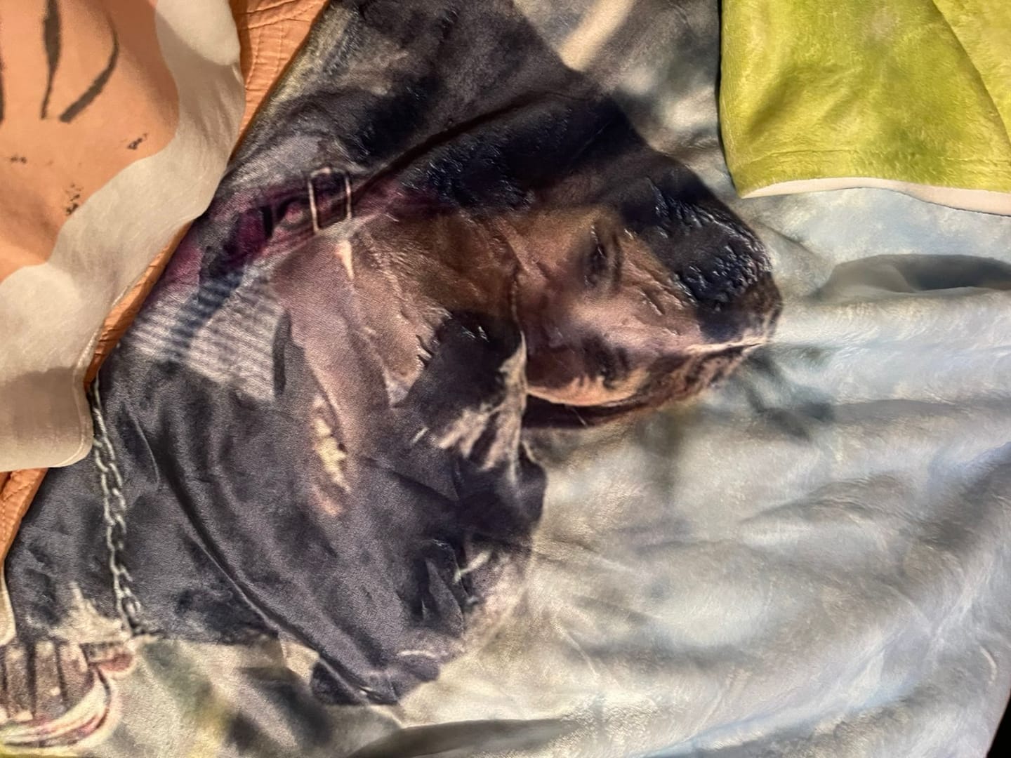 Customer photo review of Cobija frazada personalizable