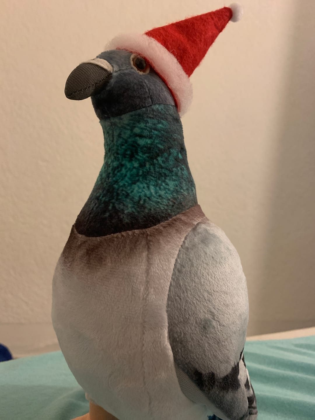 Customer photo review of Common Pigeon Bird Soft Stuffed Plush Toy