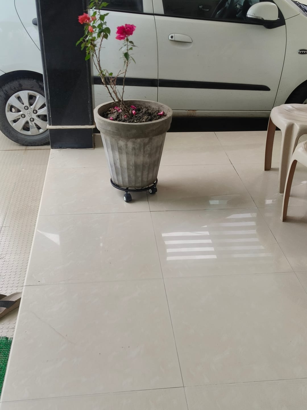 Customer photo review of TryGreen Luna Wheel Rolling Plant Stand for Planters
