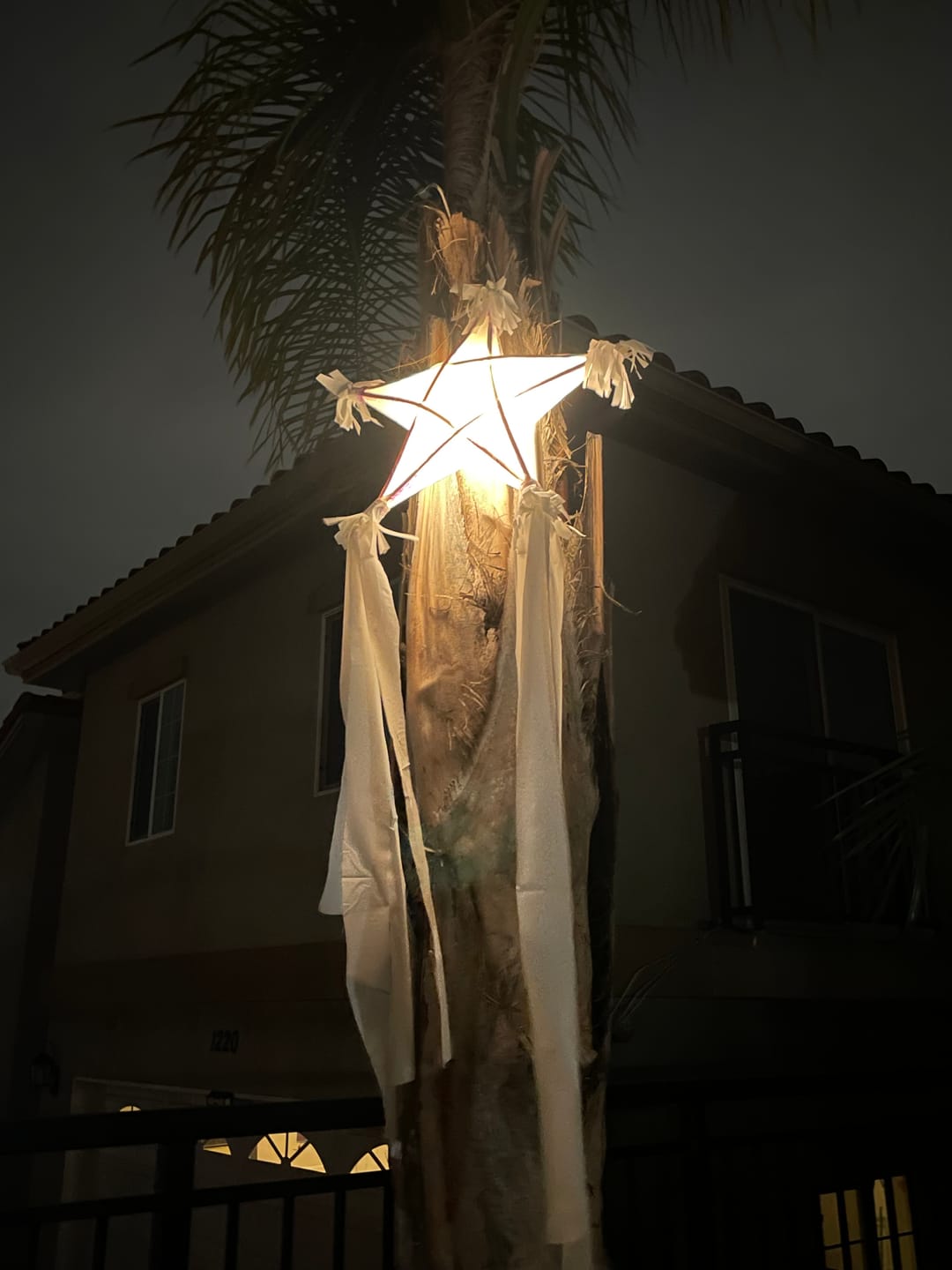 Customer photo review of Fantado MoonBright™ BULK COMBO 12 LED Multi-function Remote Controlled Battery Powered Lights for Lanterns, Warm White (6 PACK + Remote Control)