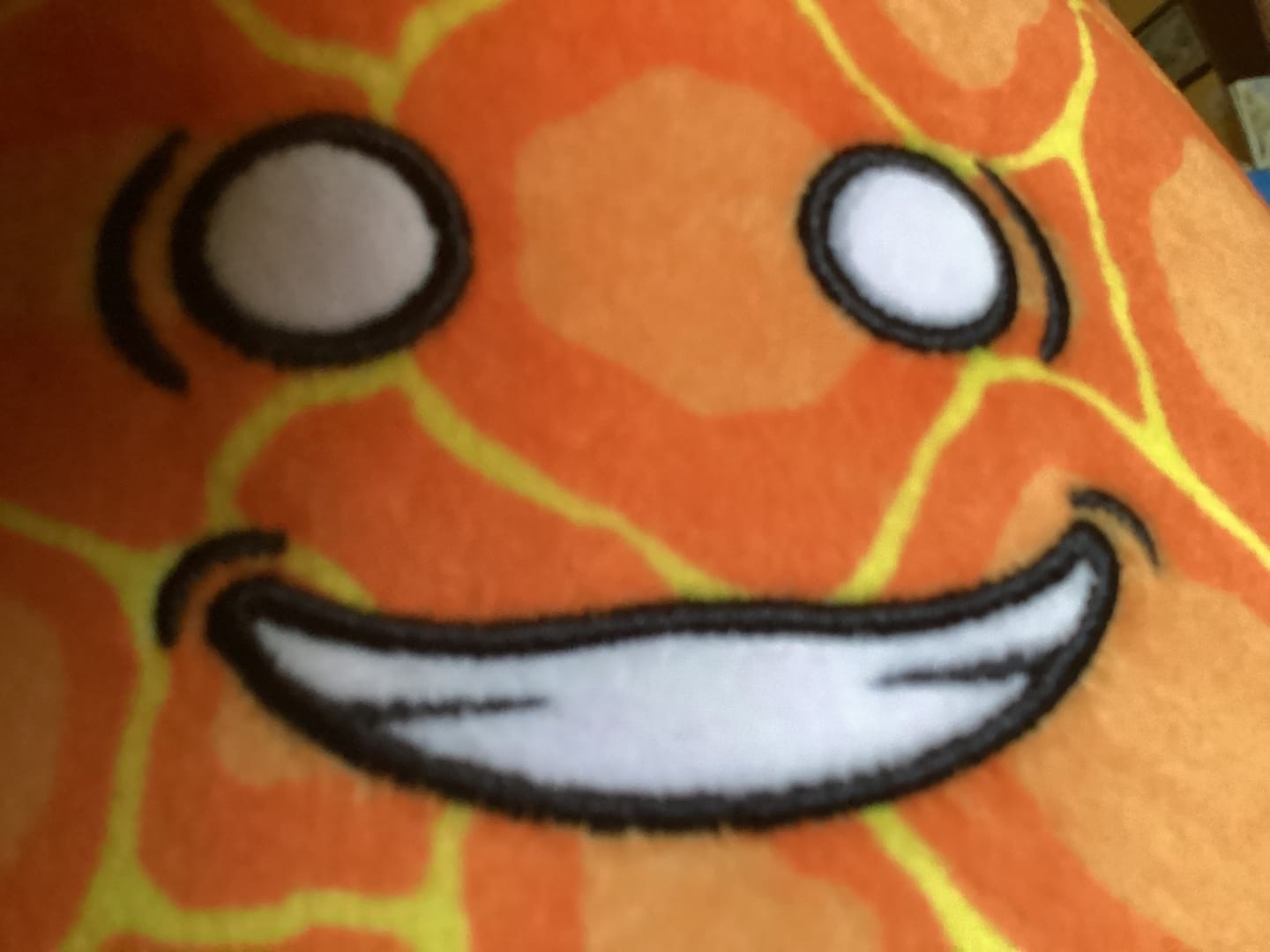 Customer photo review of The SolarBalls Sun Plush