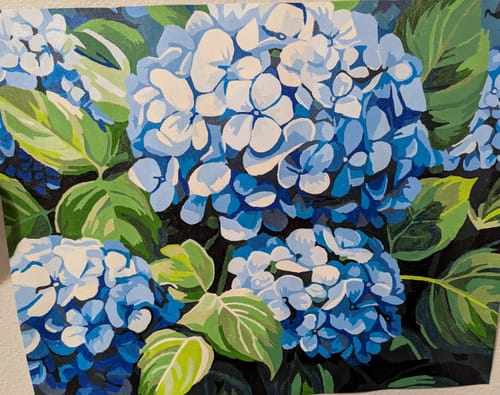 Customer photo review of Clustered Hydrangeas