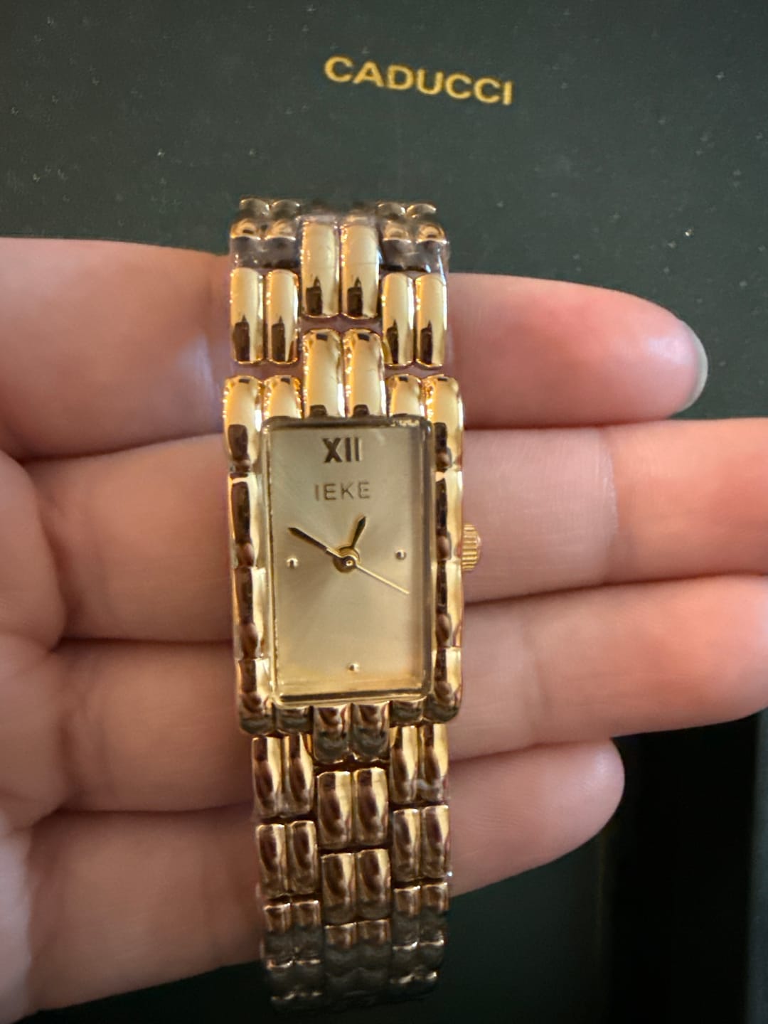Customer photo review of Melfi Watch