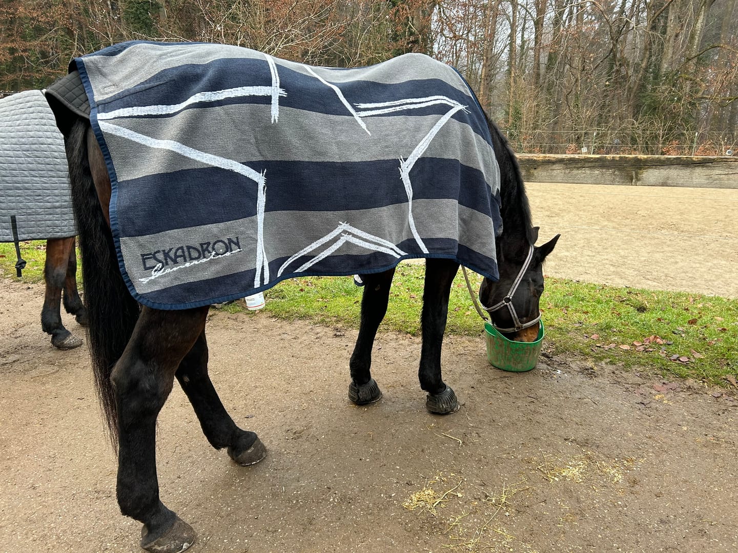 Customer photo review of Wurmtest Pro Pferd