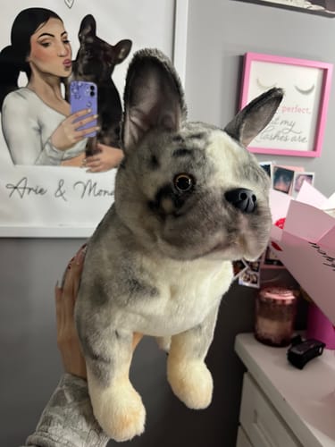 Custom Petslify plush reviewed by Itz.Bethania. M., handmade replica of their pet