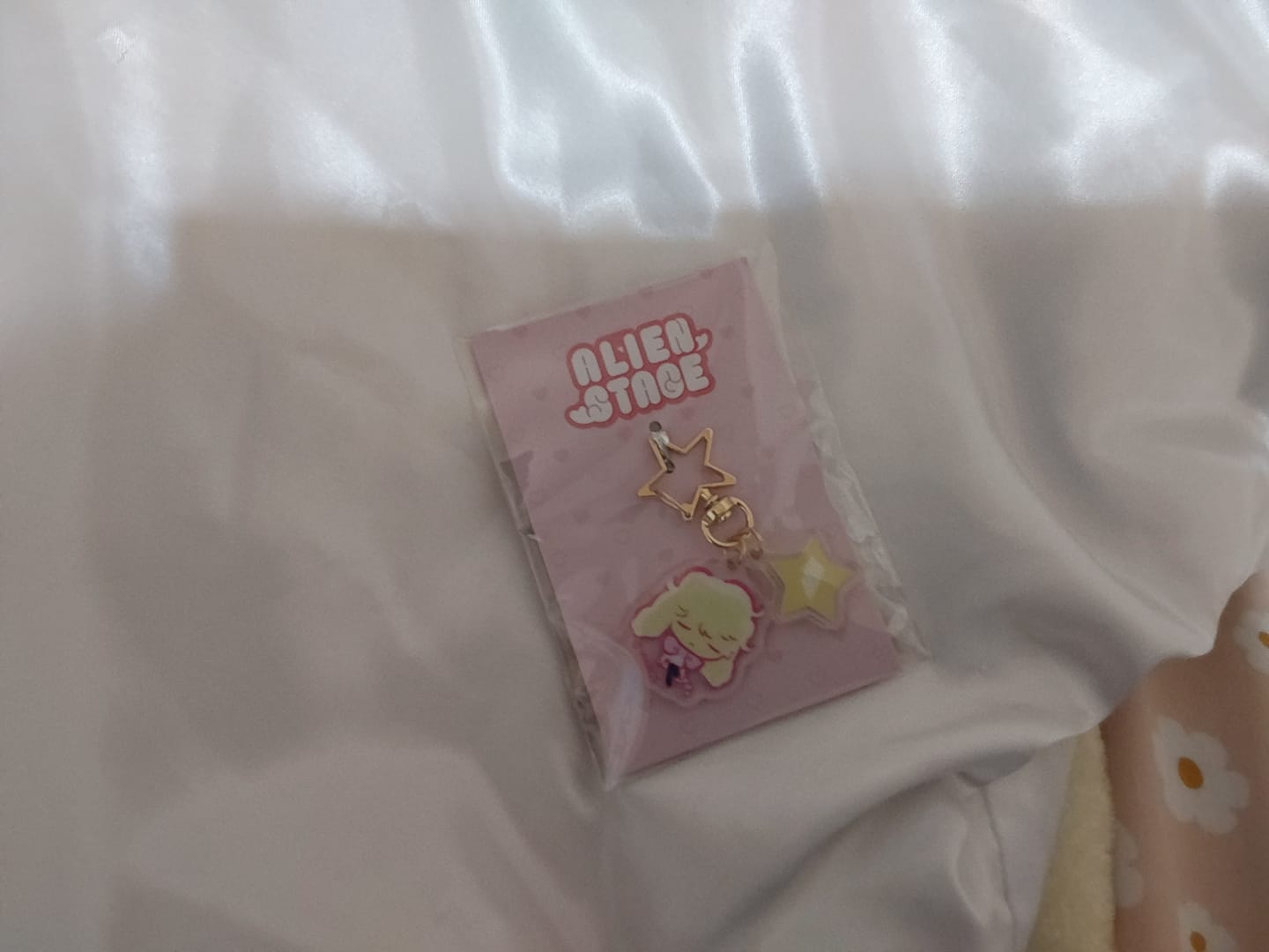 Customer photo review of Alien Stage Rabbit Series Acrylic Key Chain