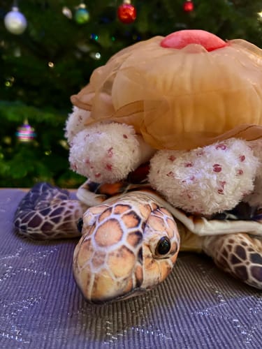 Customer photo review of Realistic Hawksbill Sea Turtle Plush Toy – Lifelike, Soft and Cuddly Stuffed Ocean Animal