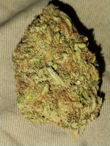 Customer photo review of Strawberry Banana  – Light Dep  THCA (Full Size) (Seeded)