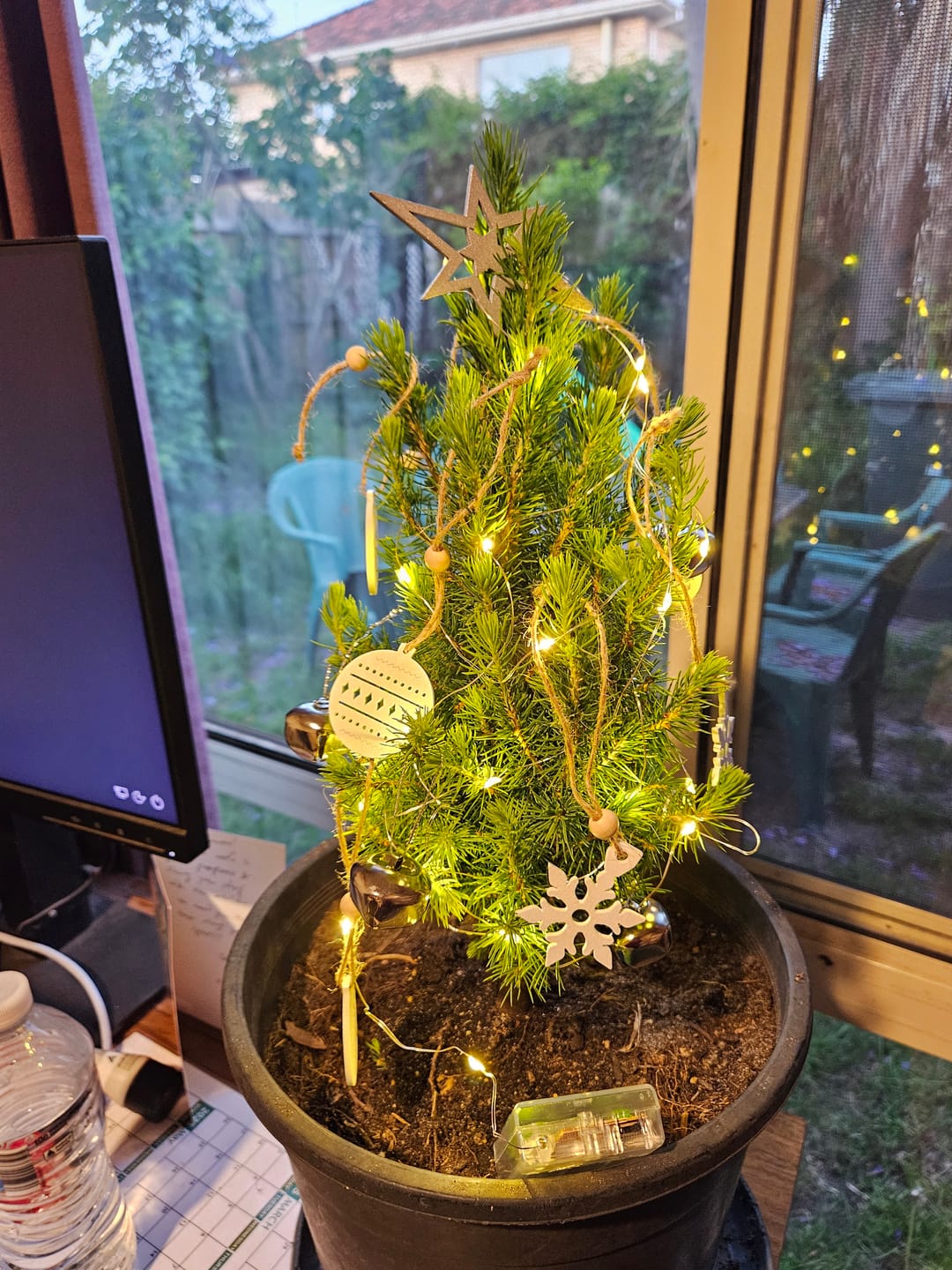 Customer photo review of Tiny Christmas Tree