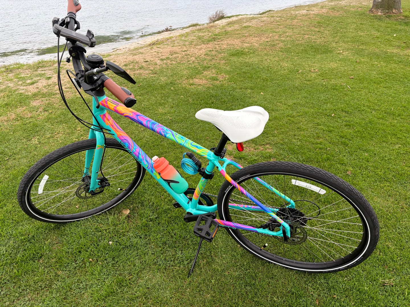 Customer photo review of Oil Slick Frame Keeper