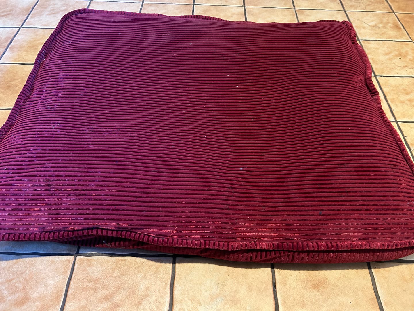 Customer photo review of Lineage Luxe Velvet Velour Fabric