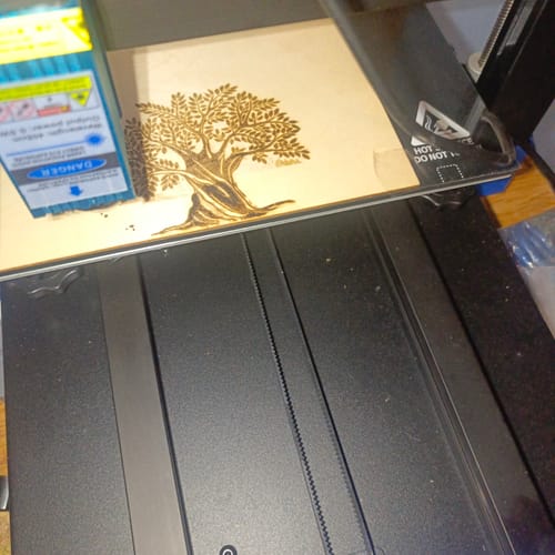 Customer photo review of Tronxy XY-3 SE LD Laser 3D Printer Single Head 3D Printing + Laser Engraver  255*255*260mm