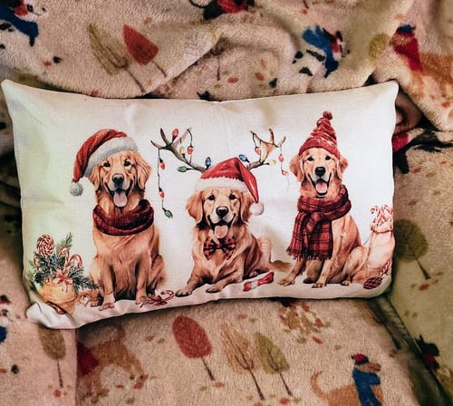 Customer photo review of 1-TDC Oral Health + Mobility Support for Cats