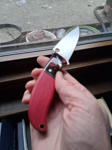 Customer photo review of Shadow Fracture | Spalted Tamarind
