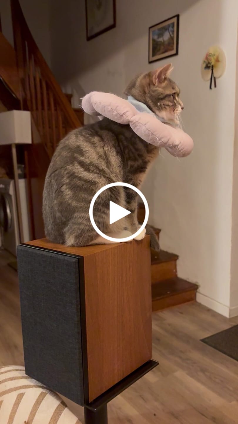 Customer video review of FORUS 5