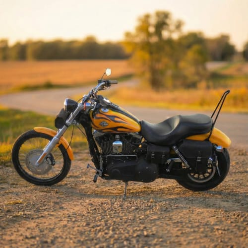 Customer photo review of H-D® Dyna Left Side Solo Bag - DL03