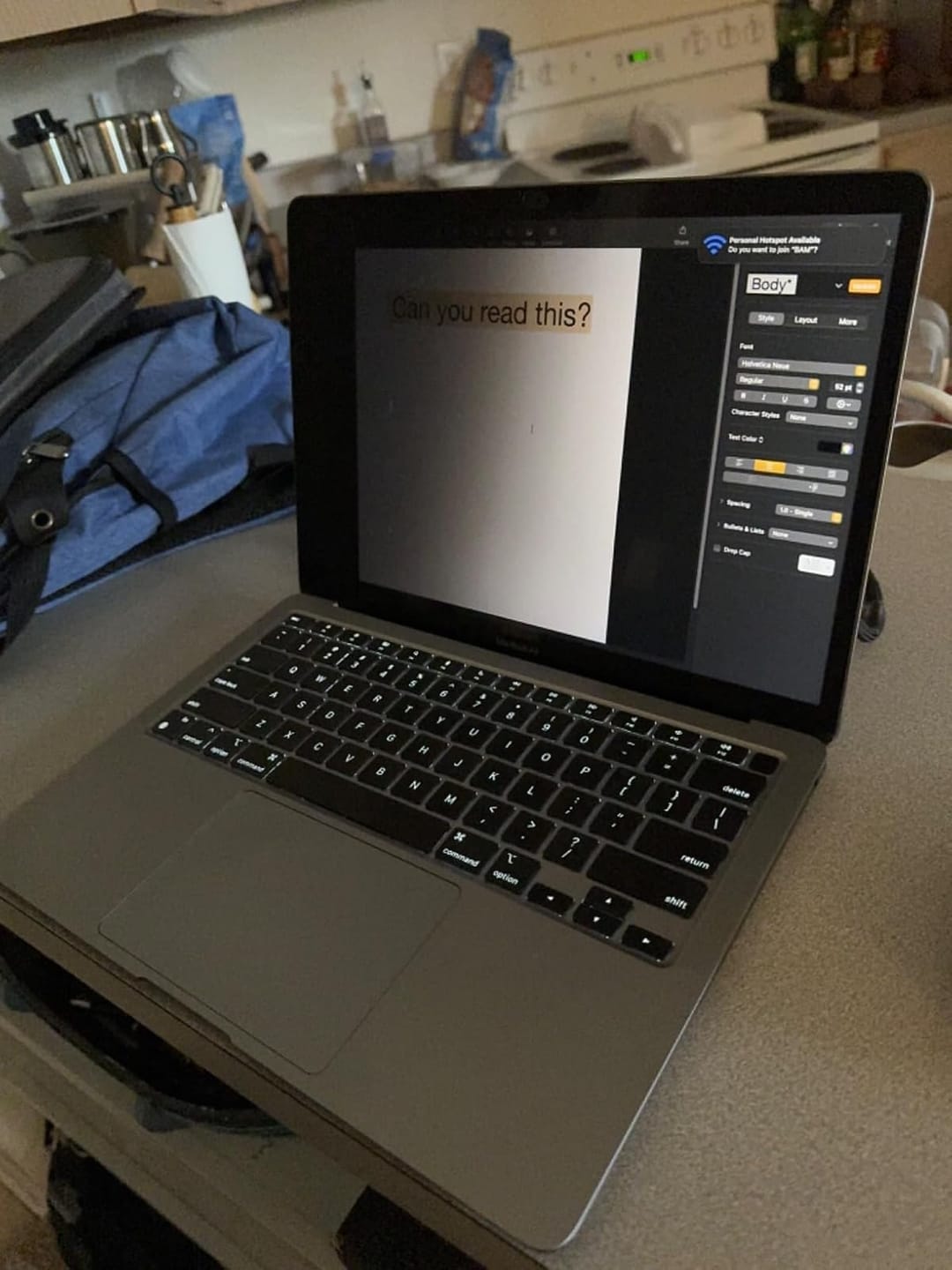 Customer photo review of Removable Computer Monitor Privacy Screen Filter - for 16:9 Aspect Ratio