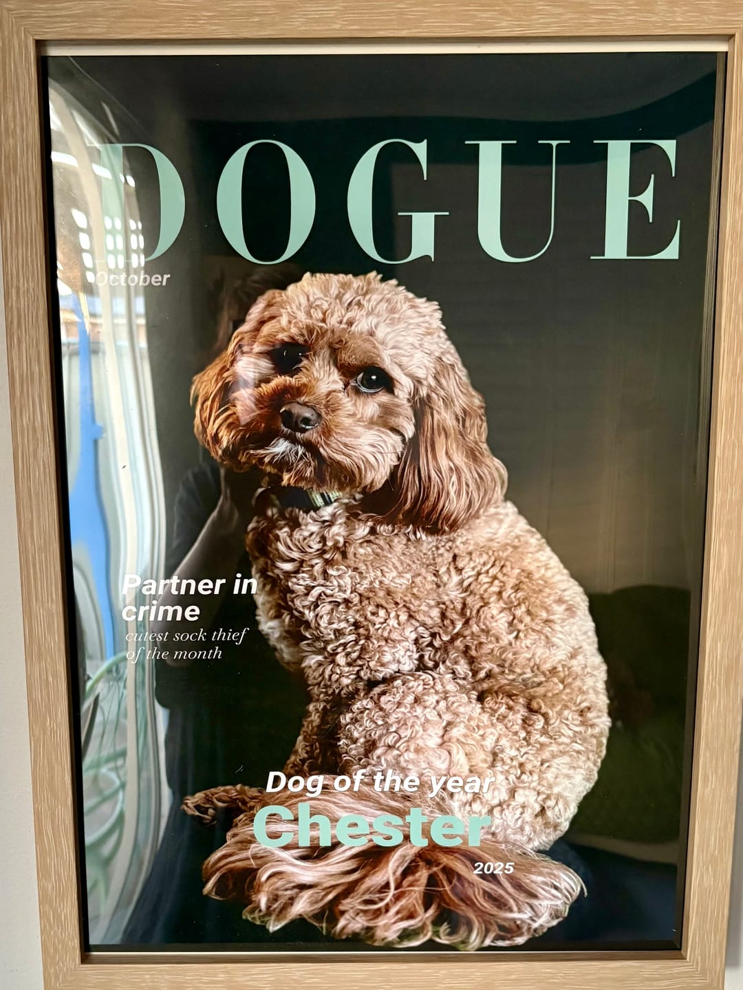 Customer photo review of Personalised Poster With Dog - Dogue
