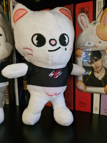Customer photo review of Kpop Members Cartoon Character Plush Toy