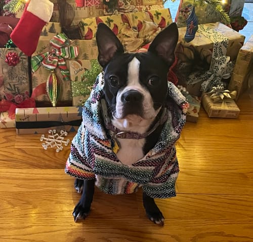 Customer photo review of Playa Poncho – Mystery Color (Bella, Charlie, or Fun Edition)