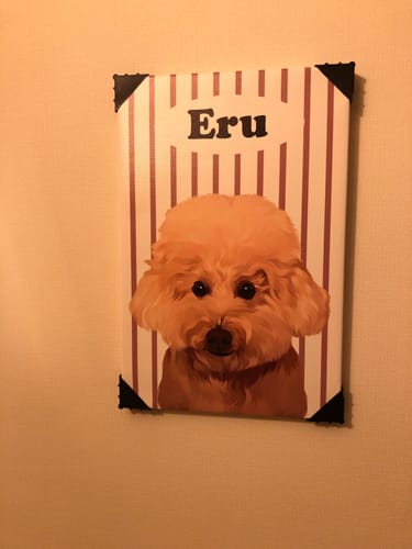 Customer photo review of Petcanva® 品質補償サービス