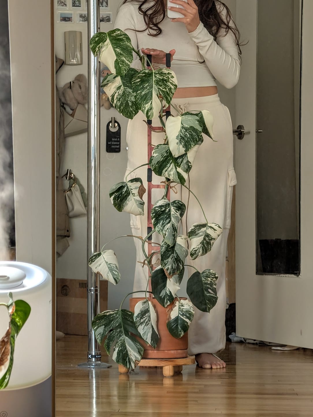 Customer photo review of Stella - Modular ladder support