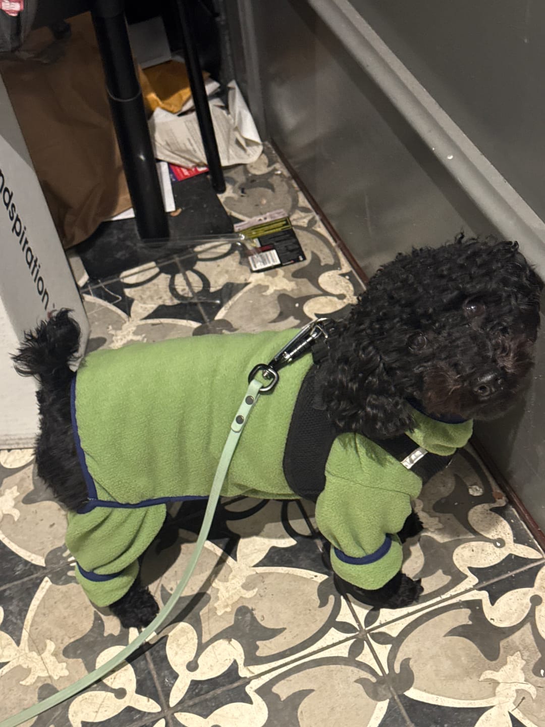 Customer photo review of NEW Fleece Pull-Over