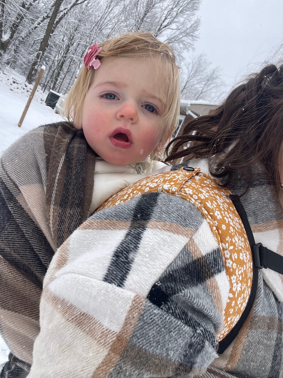 Customer photo review of Happy Baby Original Baby Carrier