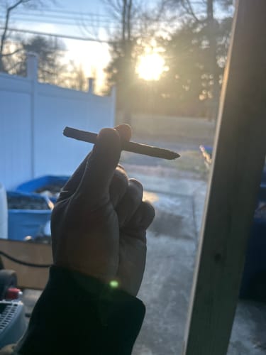 Customer photo review of Shipping Protection by Route