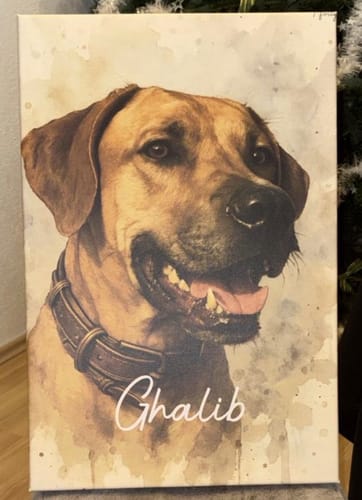 Customer photo review of Dein Haustier als Porträt - Individuelle Leinwand