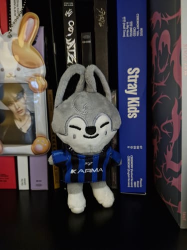Customer photo review of SKZ KARMA Plush Keyring Set