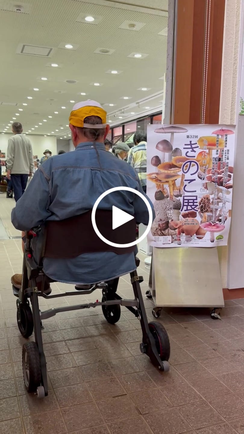 Customer video review of Roamate Mobility Device: Perfect Travel Companion