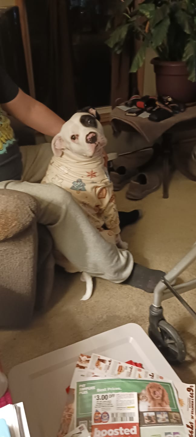 Customer photo review of Dog Christmas Pajama - Frosty Night